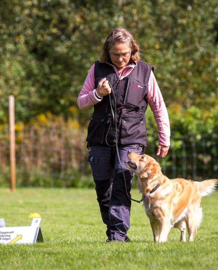 Hund med förare Lena Legnar går en rallylydnadsbana