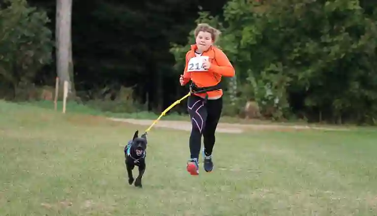 Ung flicka som springer med draghund