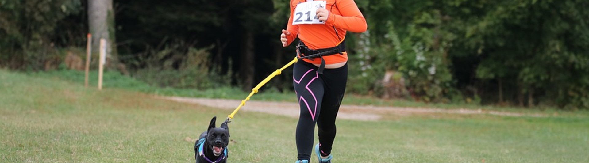 Ung flicka som springer med draghund