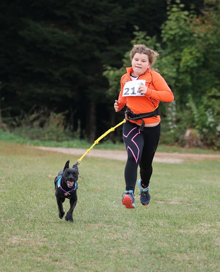 Ung flicka som springer med draghund