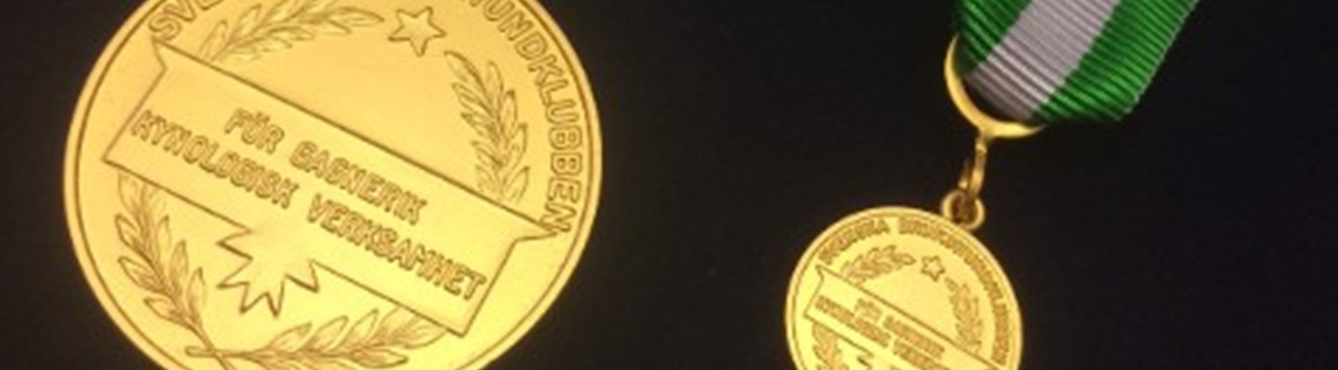 Svenska Brukshundklubbens Förtjänstmedalj