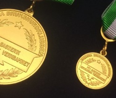 Svenska Brukshundklubbens Förtjänstmedalj