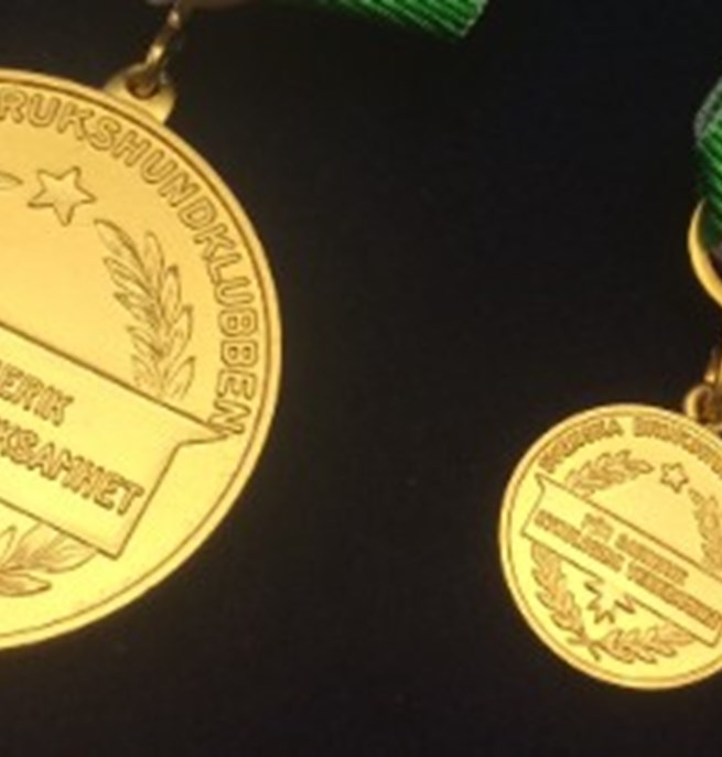 Svenska Brukshundklubbens Förtjänstmedalj