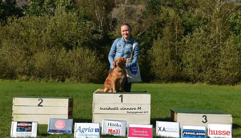 Agility, nosework, rallylydnad