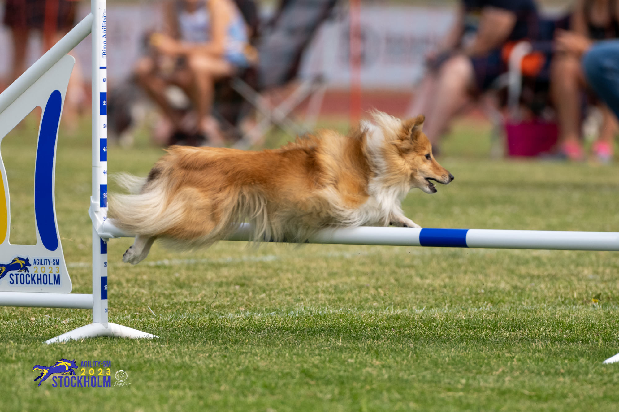 Turid hoppar över hinder tillsammans med Kari Haponen