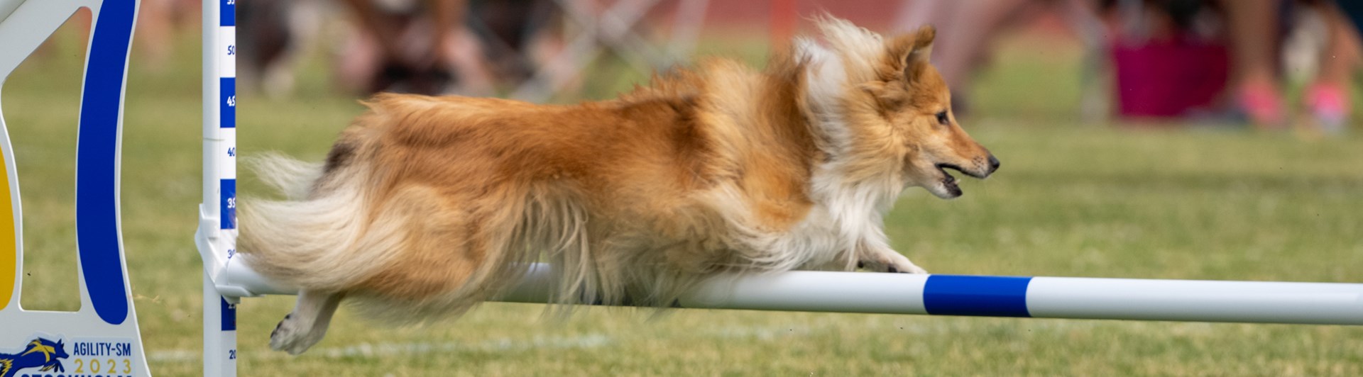 Turid hoppar över hinder tillsammans med Kari Haponen