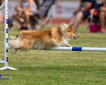 Turid hoppar över hinder tillsammans med Kari Haponen