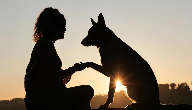 Tjej som håller tass med hund