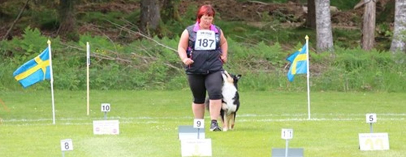 Linda och Rac som går en rallylydnadsbana, Fotograf Carin Nylander Nygren