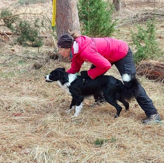 kvinna och bordercollie