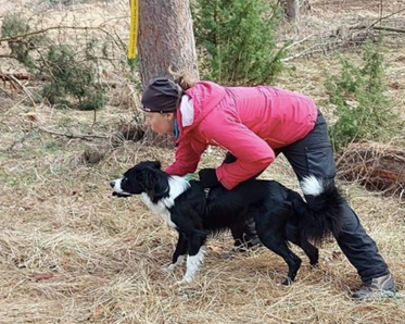 kvinna och bordercollie