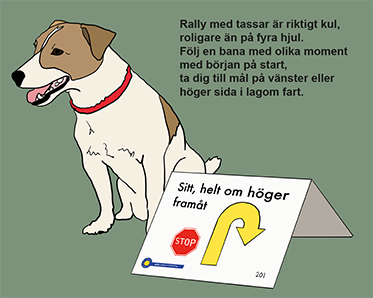 Dansk-Svensk Gårdshund sitter vid en rallyskylt. En liten ramsa om Rally är skriven uppe till höger. "Rally med tassar är riktigt kul, roligare än på fyra hjul. Följ en bana med olika moment med början på start, ta dig till mål på vänster eller höger sida i lagom fart."
