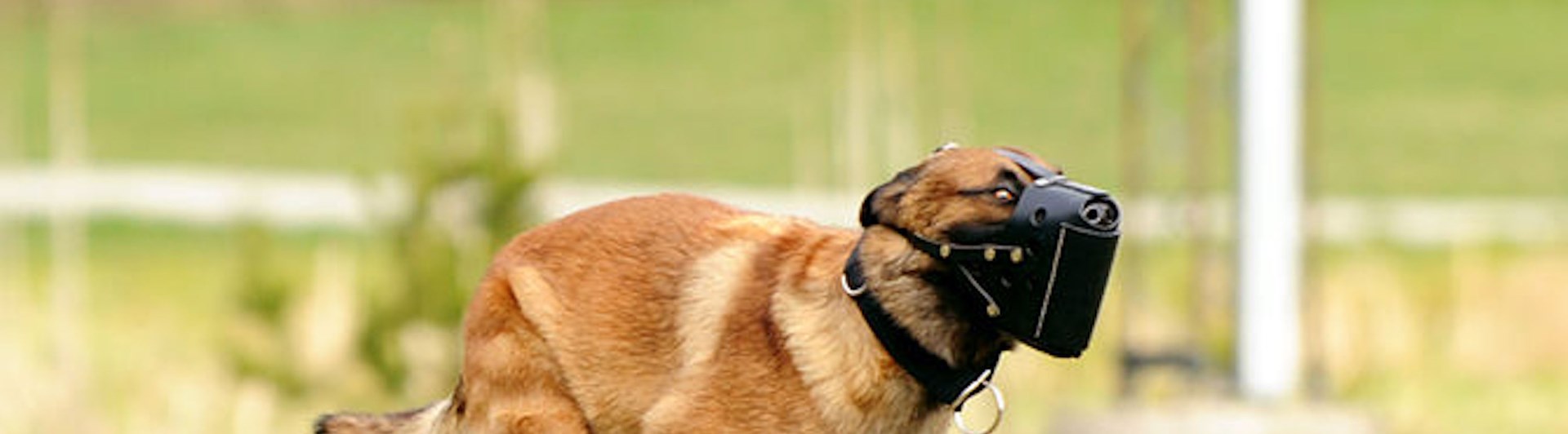 Foto: Julia Indergand