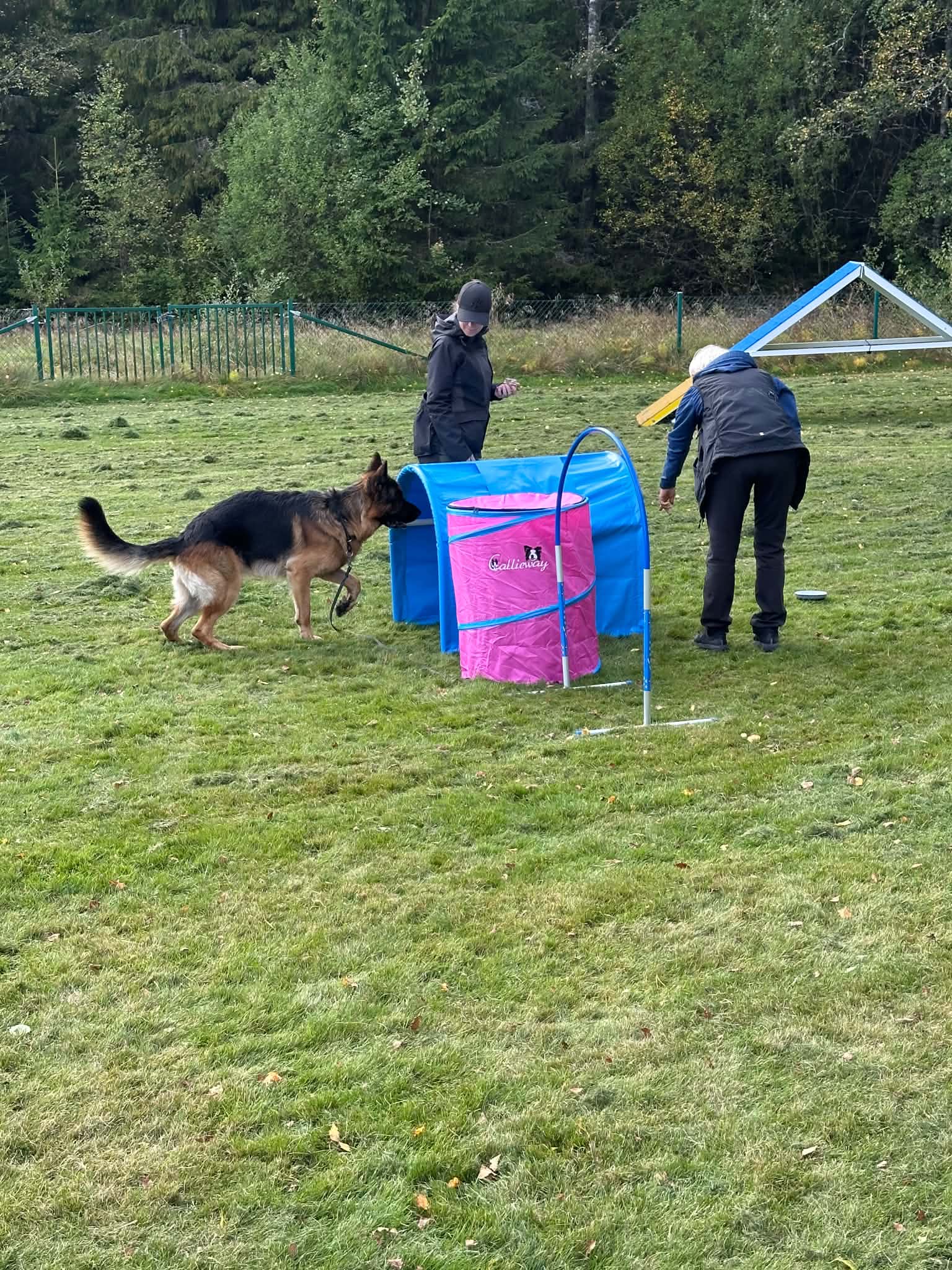 Hoopershinder, hundar och förare