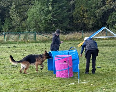 Hoopershinder, hundar och förare