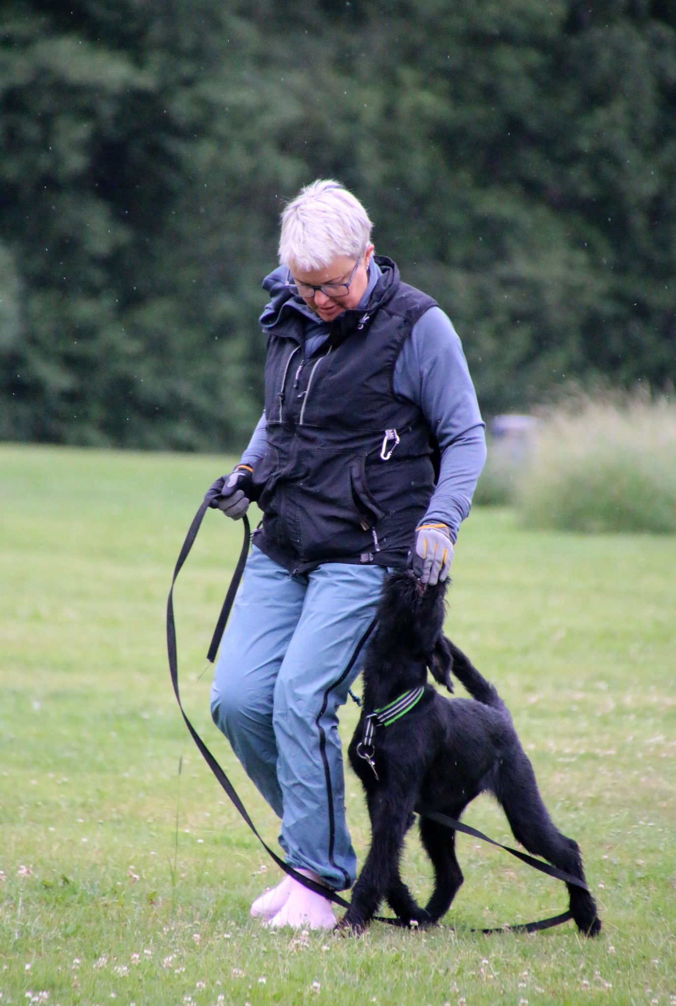 Lydnadsträning med valp