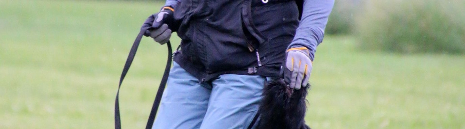 Lydnadsträning med valp