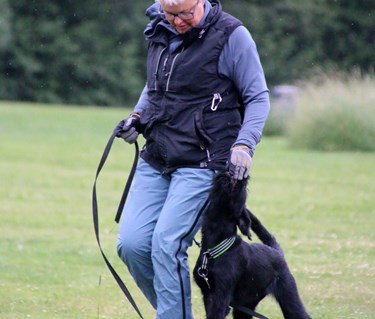 Lydnadsträning med valp