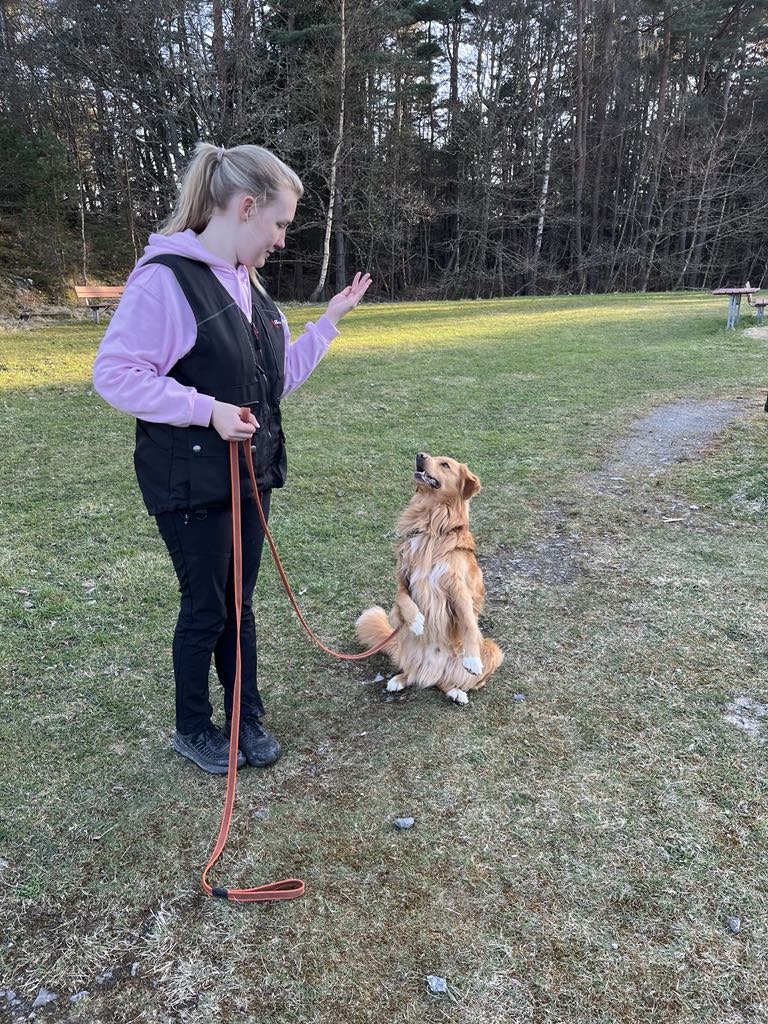 Torslanda-Öckerö Brukshundklubb
