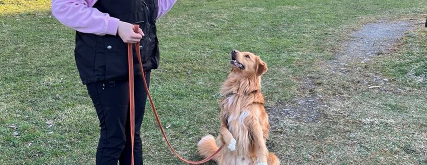 Torslanda-Öckerö Brukshundklubb