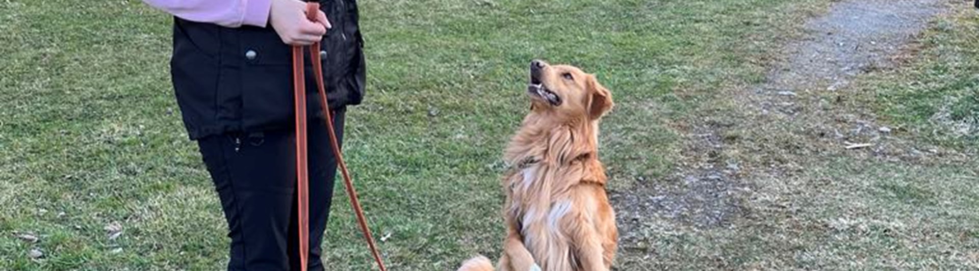 Torslanda-Öckerö Brukshundklubb