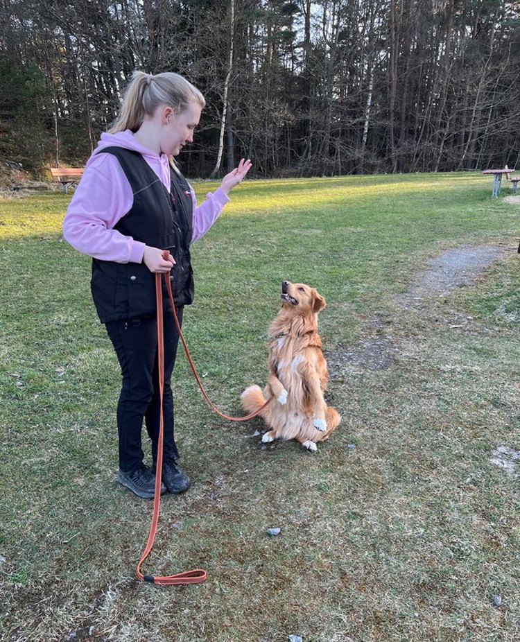 Torslanda-Öckerö Brukshundklubb