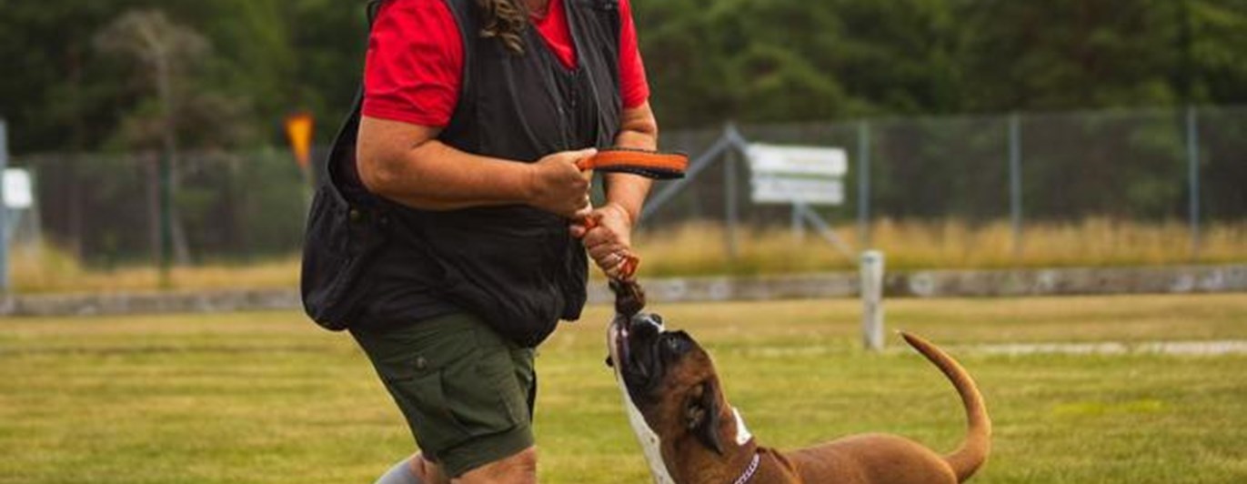 Ekipage som leker. Matte och hund.