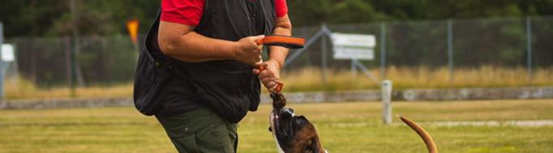 Ekipage som leker. Matte och hund.