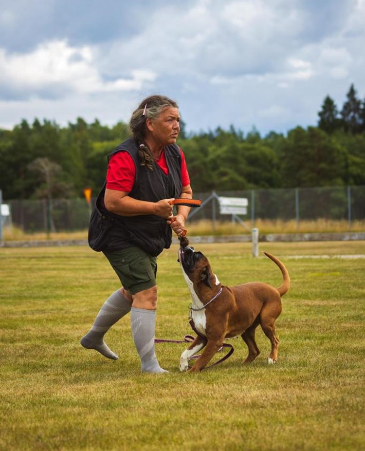 Ekipage som leker. Matte och hund.