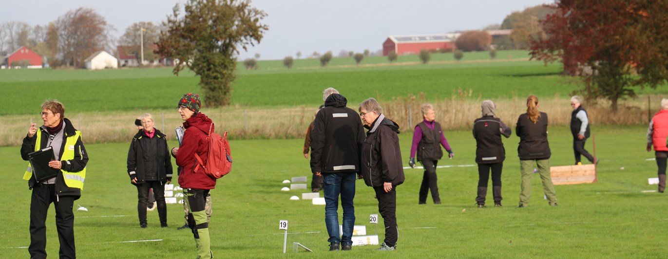 Banvandring Rallylydnad Trelleborgs Brukshundklubb