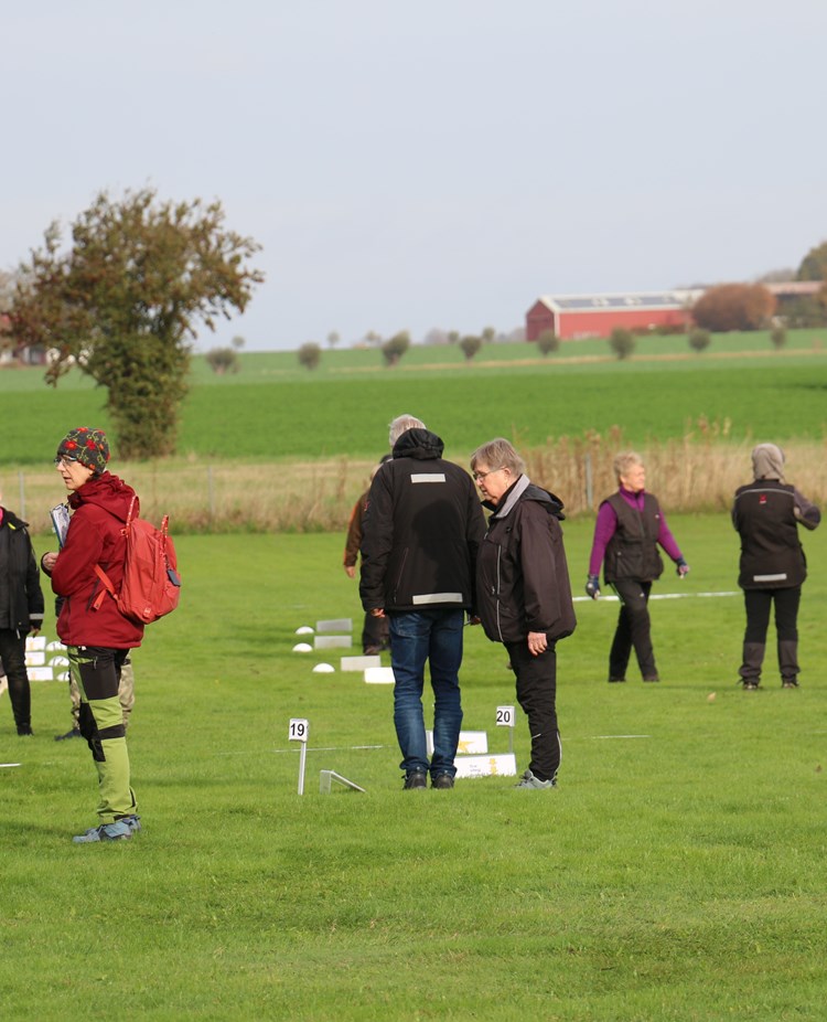 Banvandring Rallylydnad Trelleborgs Brukshundklubb