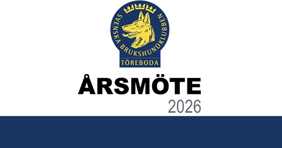 Årsmöte 2026
