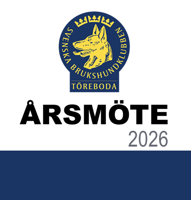 Årsmöte 2026