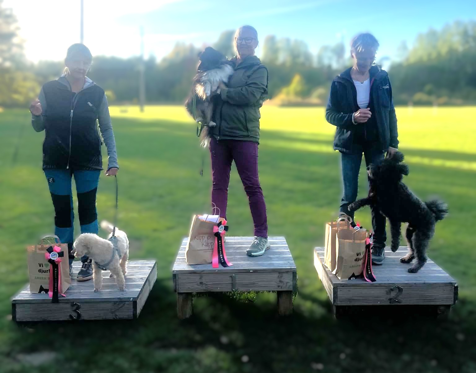 Prispallen Mästarklass KM Rallylydnad oktober 2026