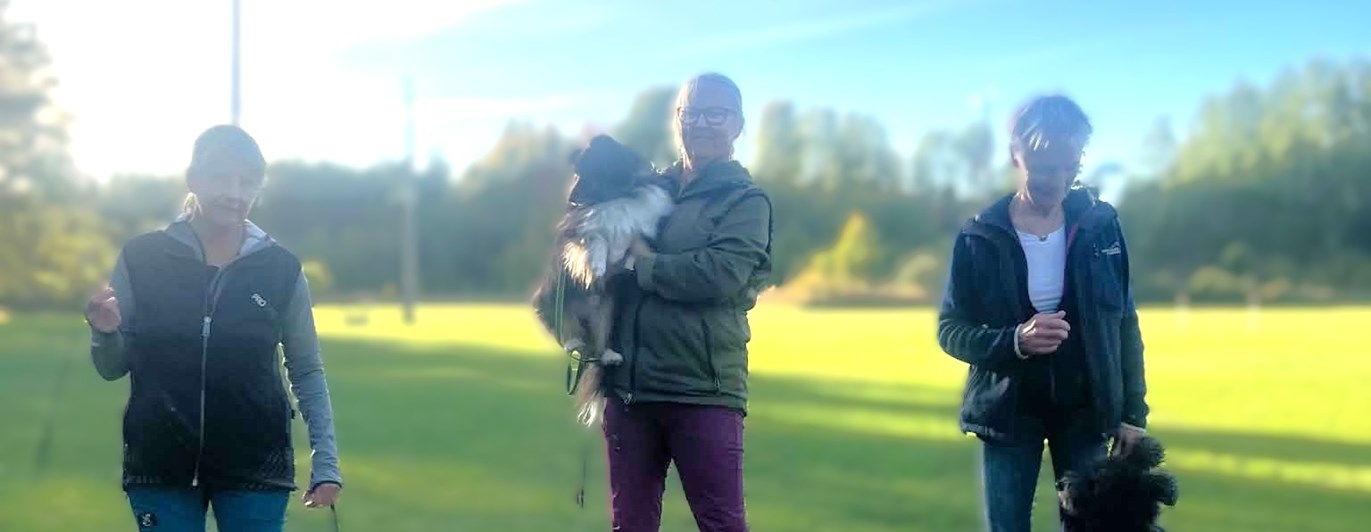 Prispallen Mästarklass KM Rallylydnad oktober 2026
