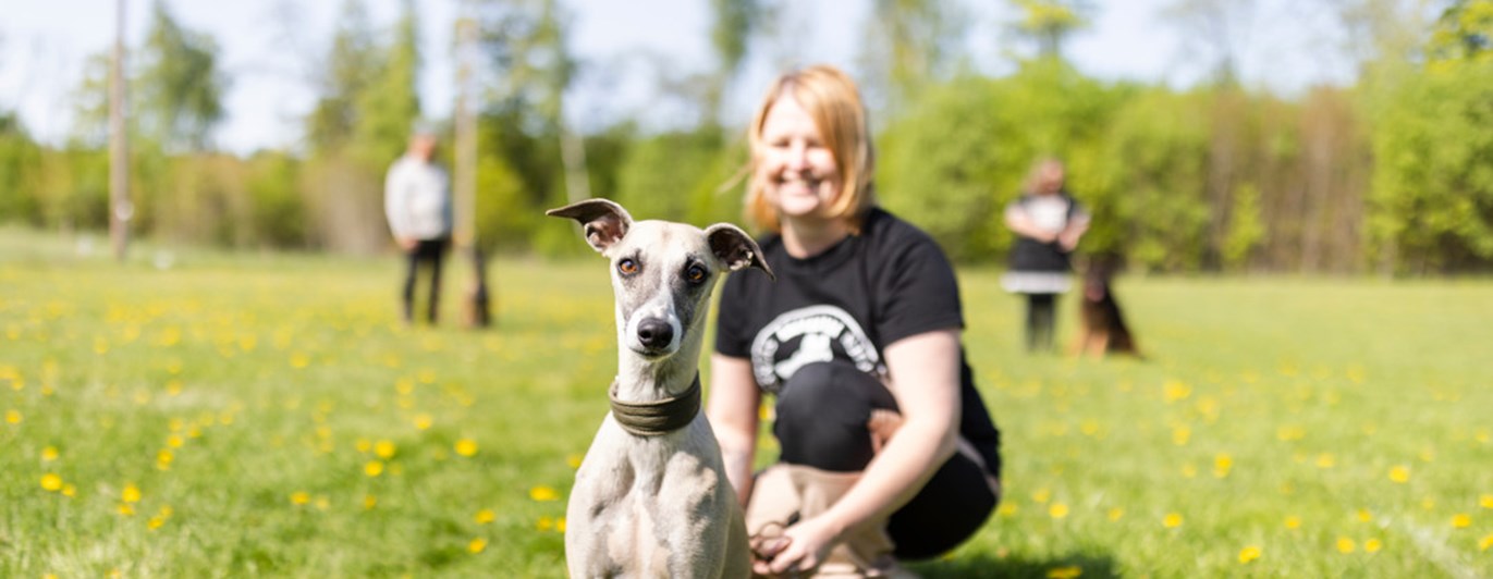 Whippet som tittar in i kameran. Matte sitter bakom, tittar på hunden och ler.