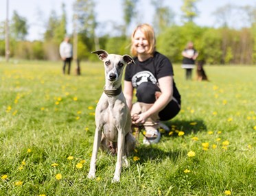 Whippet som tittar in i kameran. Matte sitter bakom, tittar på hunden och ler.