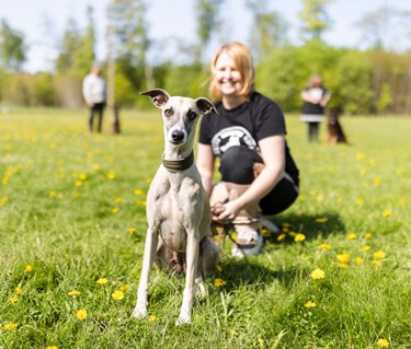 Whippet som tittar in i kameran. Matte sitter bakom, tittar på hunden och ler.
