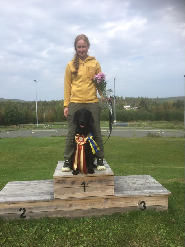 458751928 27522745970657701 143685485788237082 N
