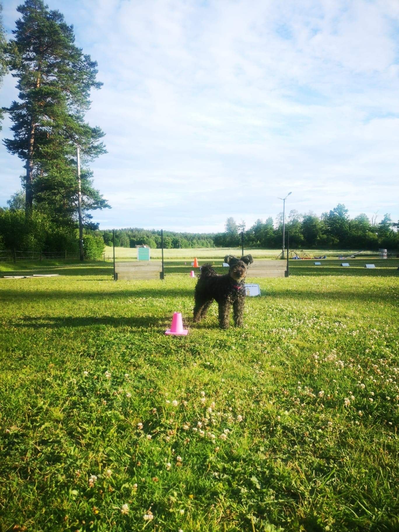 Rallylydnad - Svenska Brukshundklubben