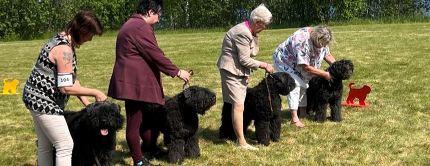 Bästa uppfödargrupp