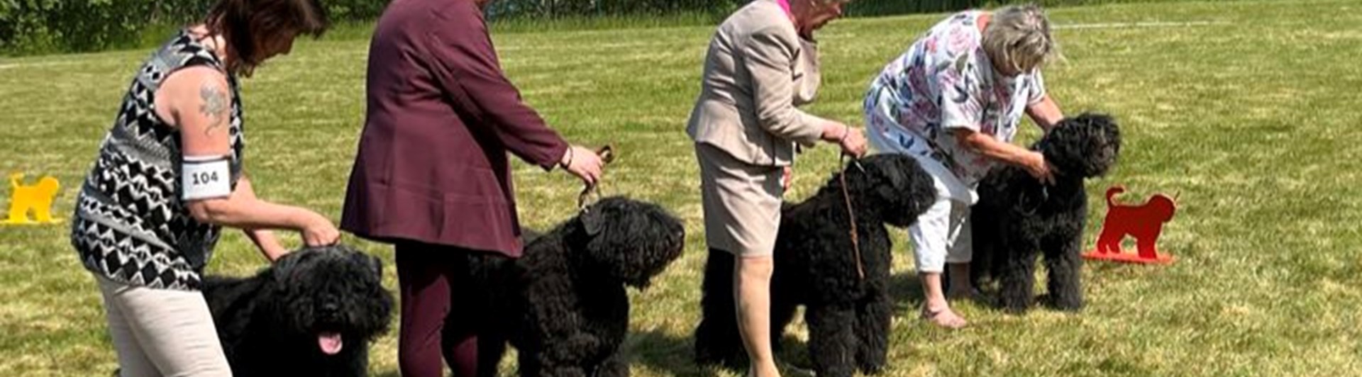 Bästa uppfödargrupp