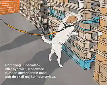 Parson russel står på bakbenen mot en stapel med EU-pallar och markerar hittad doft. En vers i nederkant: "Röd Kong i Specialsök, eller hydrolat i Nosework. Hunden använder sin näsa och du skall markeringen avläsa.