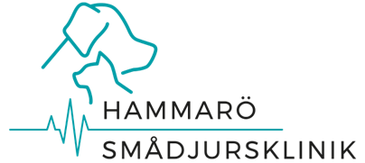 Hammarö Smådjursklinik