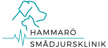 Hammarö Smådjursklinik
