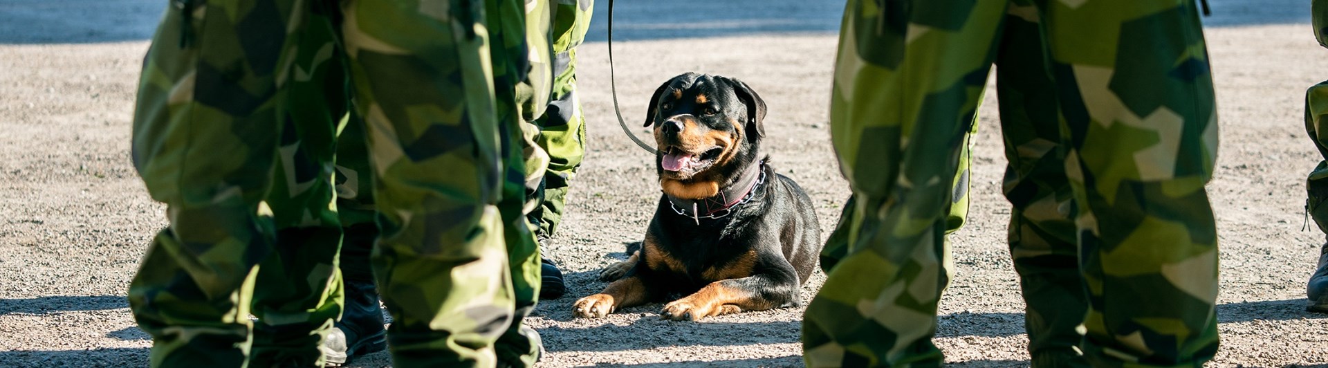 Fotograf: Magnus Fröderberg