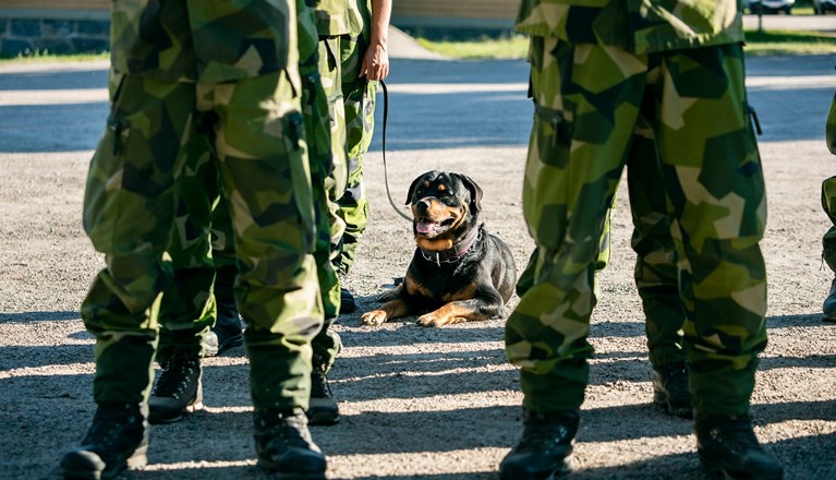 Fotograf: Magnus Fröderberg