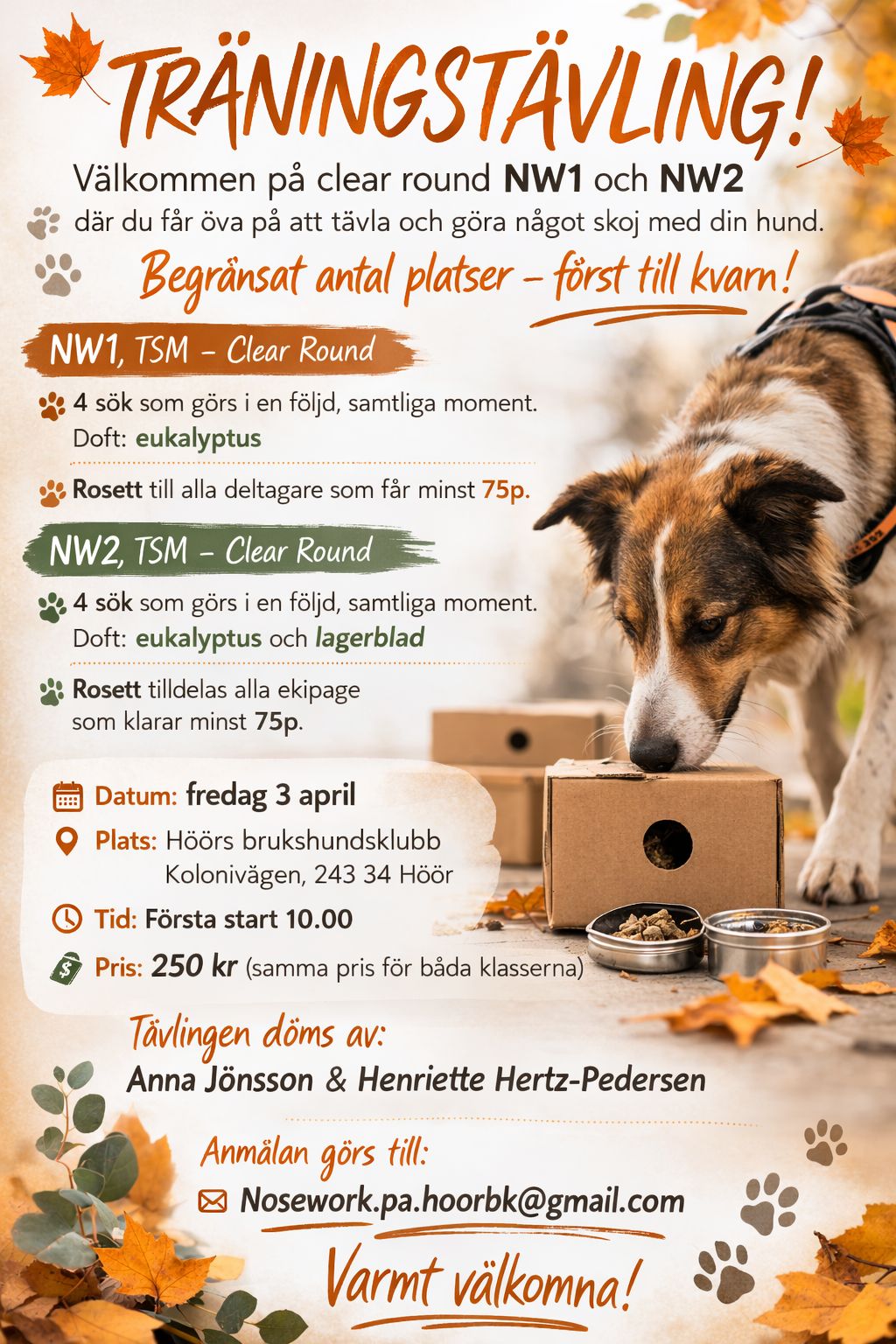 Clear round nosework