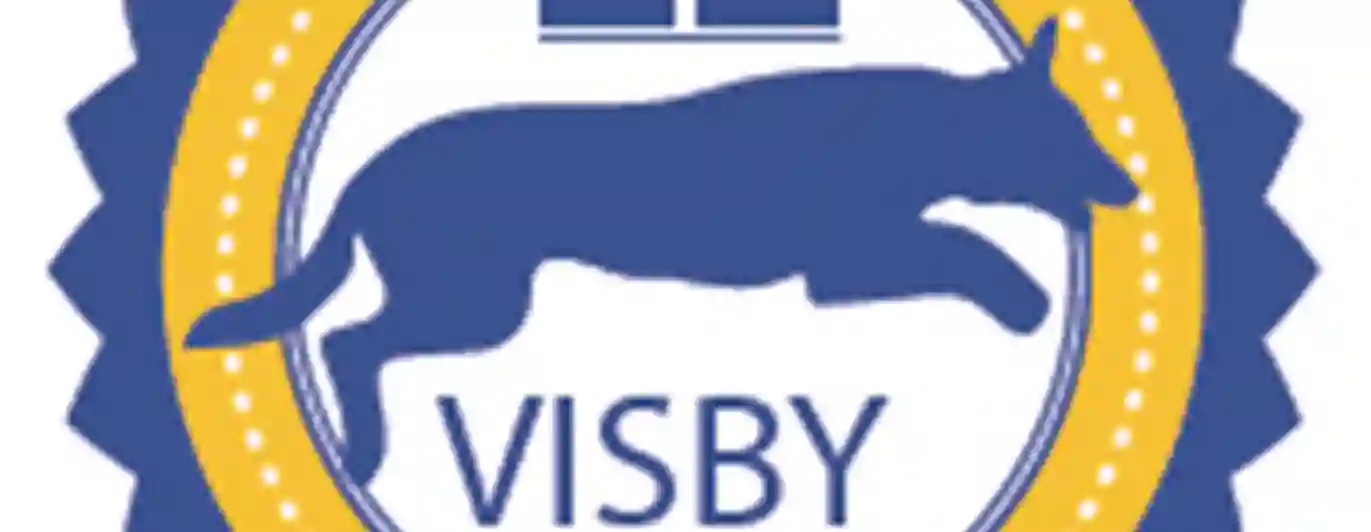 Visby BK logga
