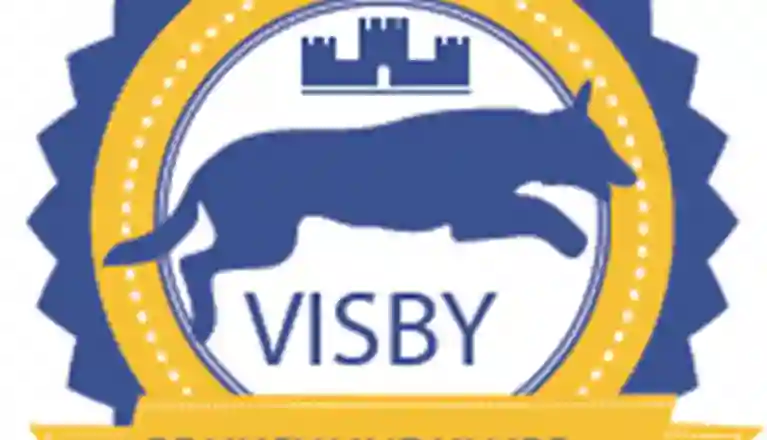 Visby BK logga